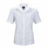 Ladies' Business Shirt Shortsleeve
