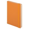 Ежедневник недатированный Canyon BtoBook, оранжевый