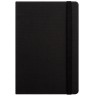 Ежедневник недатированный Canyon BtoBook, черный