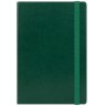 Ежедневник недатированный Voyage BtoBook, зеленый