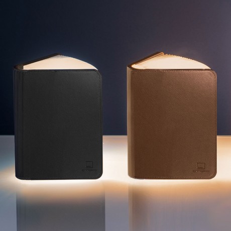 Светильник MINI Leather Smart Book Light