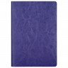 Ежедневник Portobello Trend, River side, недатированный, фиолетовый/зеленый