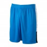 Team Shorts