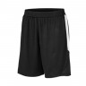 Competition Team Shorts