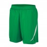 Tournament Team-Shorts
